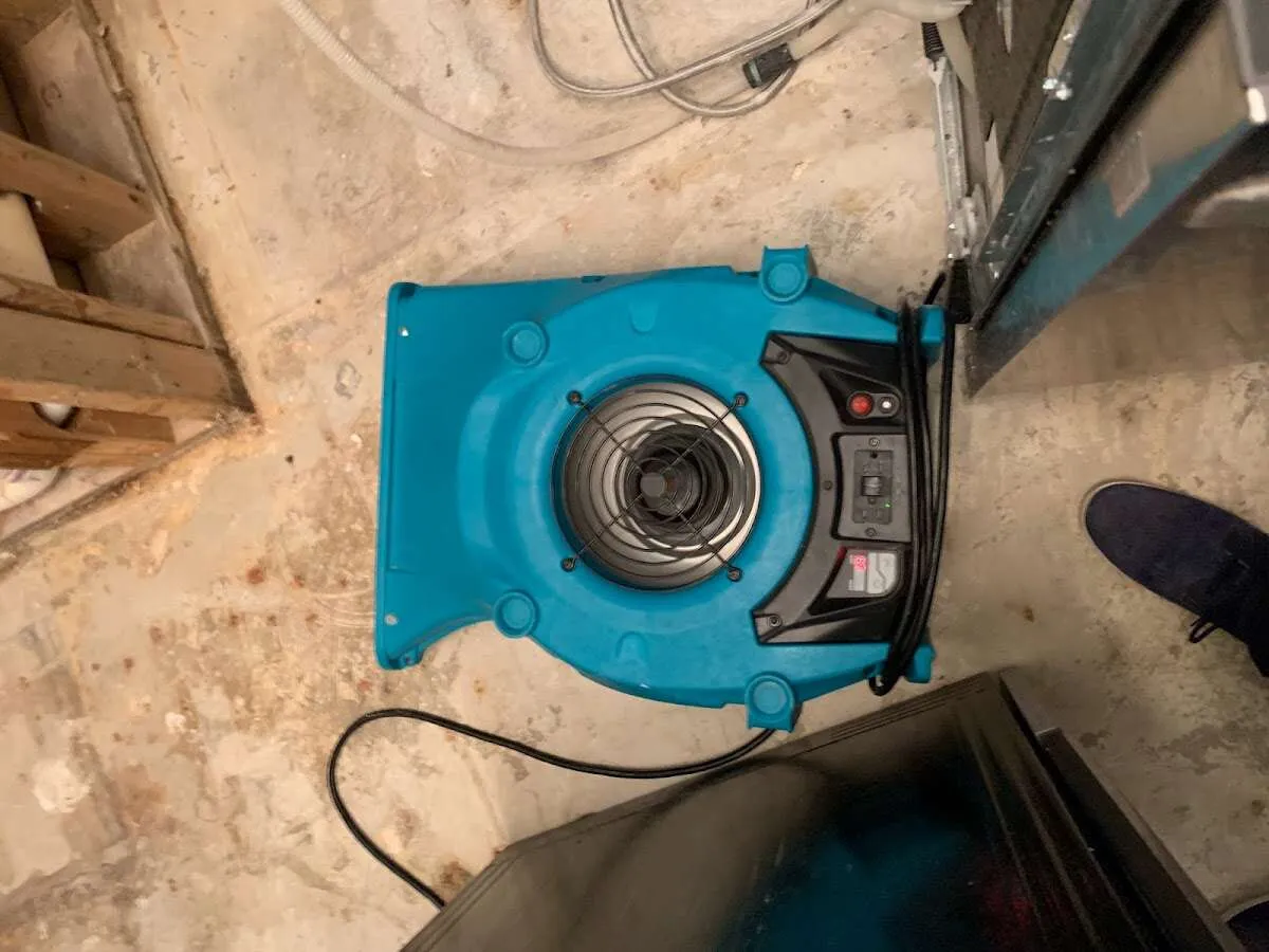 Air mover drying equipment for Mold Remediation & Removal in Appleton